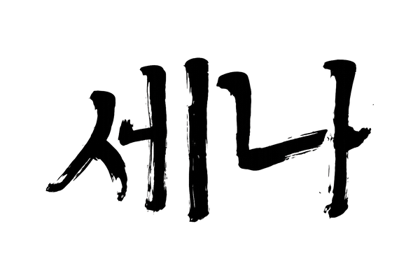 Scaena Studio